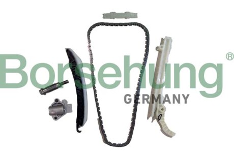 Комплект ланцюга ГРМ - Borsehung B12554
