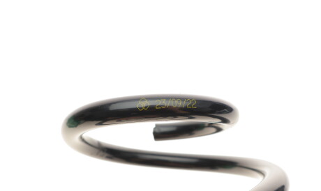 Фото 2 - Пружина підвіски Borsehung B12561