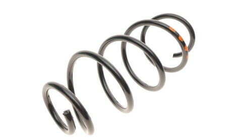 Фото 5 - Пружина підвіски Borsehung B12561