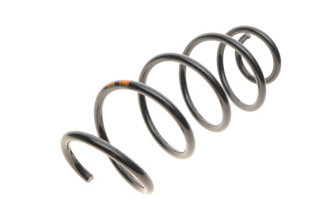 Фото 6 - Пружина підвіски Borsehung B12561