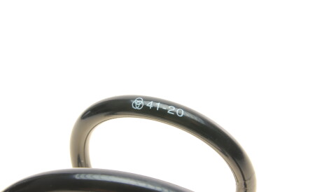 Фото 2 - Пружина підвіски Borsehung B12564