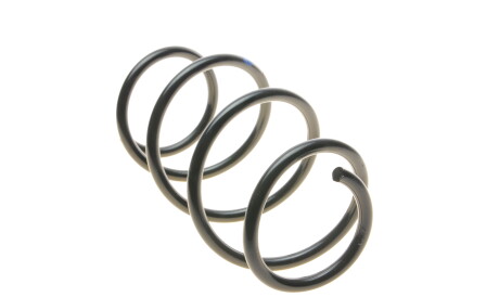 Фото 3 - Пружина підвіски Borsehung B12564