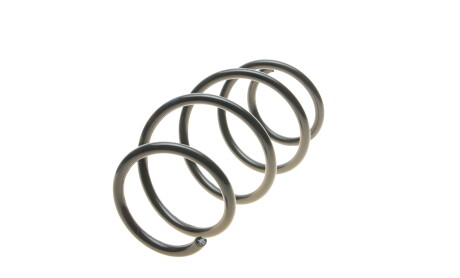 Фото 5 - Пружина підвіски Borsehung B12564