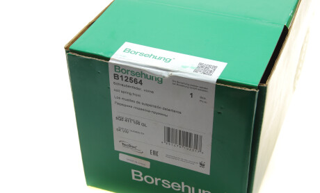 Фото 6 - Пружина підвіски Borsehung B12564
