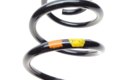 Фото 2 - Пружина підвіски Borsehung B12622