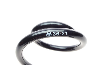 Фото 3 - Пружина підвіски Borsehung B12622