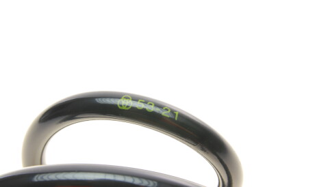 Фото 2 - Пружина підвіски Borsehung B12623