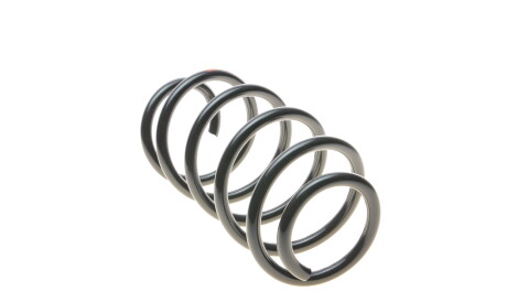 Фото 3 - Пружина підвіски Borsehung B12623