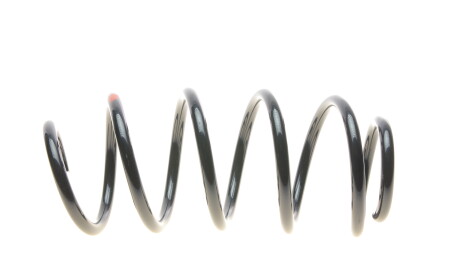 Фото 4 - Пружина підвіски Borsehung B12623