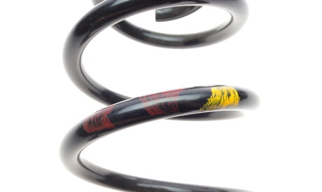 Фото 3 - Пружина підвіски Borsehung B12624