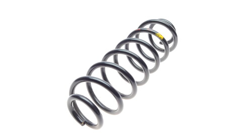 Фото 6 - Пружина підвіски Borsehung B12624