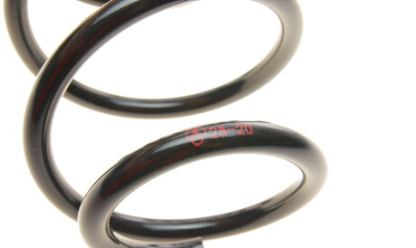 Фото 2 - Пружина підвіски Borsehung B12625