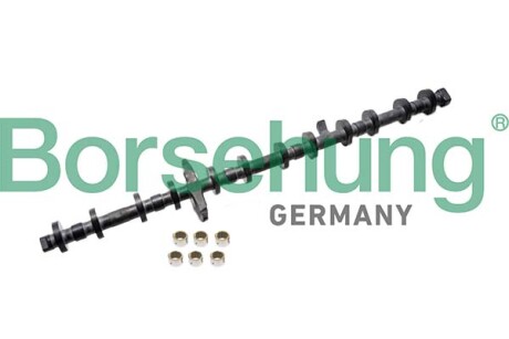 Ексцентриковий вал kit; 6 cylinder - Borsehung B12678