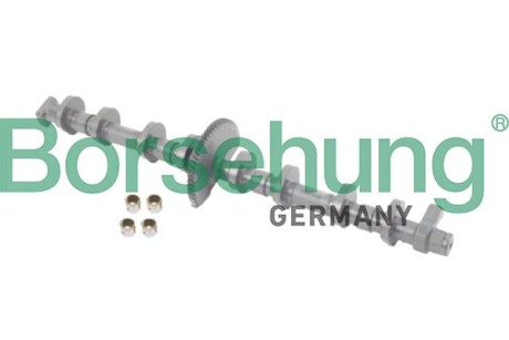 Ремонтний комплект, регулювання фаз газорозподілу; 4 cylinder - Borsehung B12680