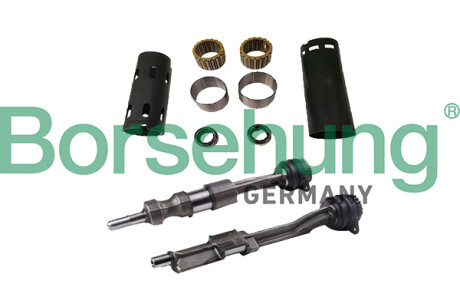 Комплект балансирного валу, EA888 GEN3, 2.0T - Borsehung B12682
