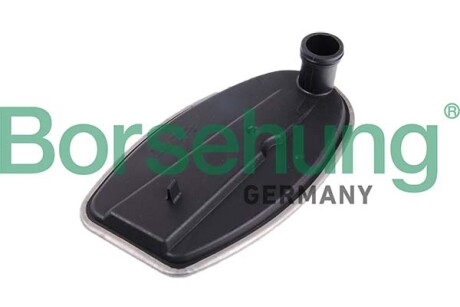 Transmission oil strainer - Borsehung B12703