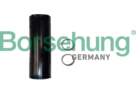 Repair kit for balance shaft - Borsehung B12707