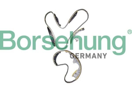Ланцюг ГРМ к-кт - Borsehung B12738
