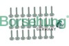 Автозапчастина Borsehung B12749 - зображення 1