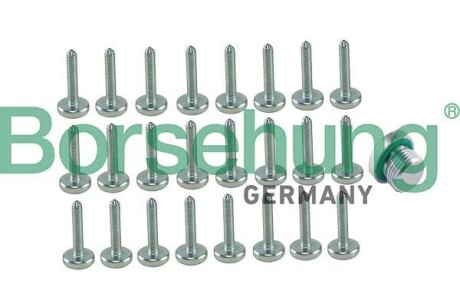 Комплект гвинтів, оливний піддон автоматичної КП - Borsehung B12749