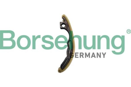 Направляюча ланцюга ГРМ - Borsehung B12763