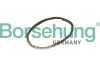 Автозапчастина Borsehung B12768 - зображення 1