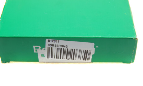 Фото 6 - Фильтр салона Borsehung B12817