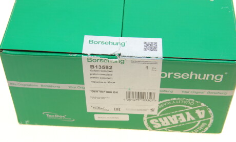 Фото 7 - Поршні Borsehung B13582