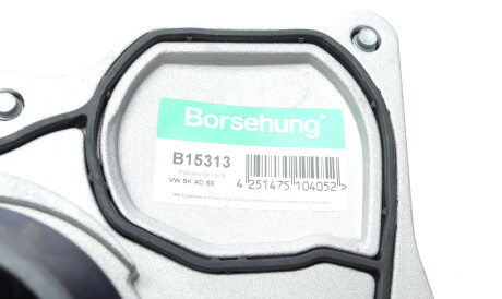 Фото 2 - Водяной насос Borsehung B15313