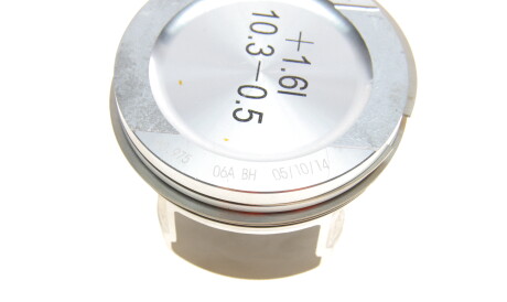 Фото 3 - Поршні Borsehung B16955