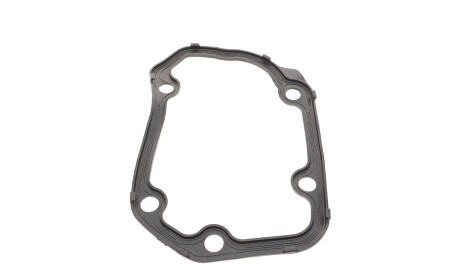 Фото 2 - Прокладка КПП Borsehung B17831