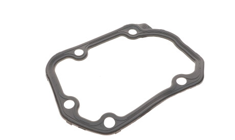 Фото 3 - Прокладка КПП Borsehung B17831