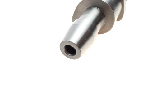 Фото 4 - Распредвал Borsehung B18664