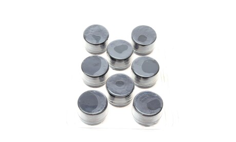 Фото 7 - Распредвал Borsehung B18664