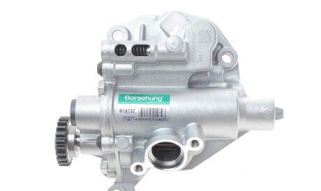 Насос оливи VW Sharan/Tiguan 2.0 TFSI 07-18 - Borsehung B18737