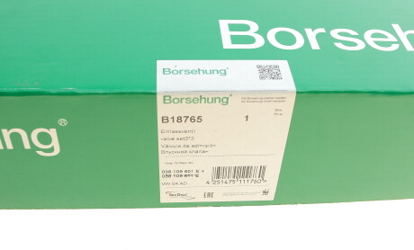 Фото 8 - Автозапчастина Borsehung B18765