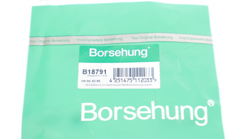 Фото 2 - Сальник трансмісії Borsehung B18791