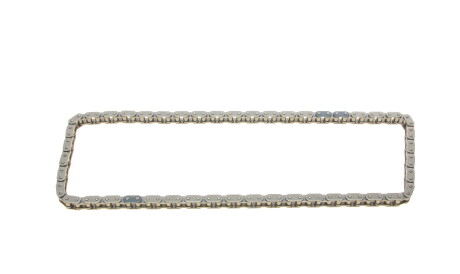 Фото 3 - Цепь ГРМ Borsehung B18844