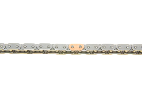 Фото 2 - Цепь ГРМ Borsehung B18848