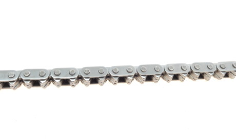 Фото 3 - Цепь ГРМ Borsehung B18960