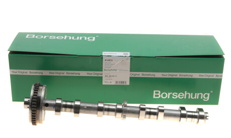 Фото 2 - Распредвал Borsehung B18979