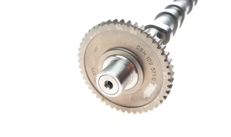 Фото 2 - Распредвал Borsehung B18980