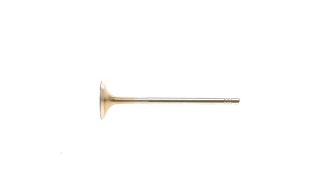 Фото 3 - Клапан впускний Borsehung B19019