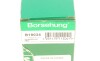 Фільтр помпи оливної Audi A4/A6/A8/Q3/Q5/VW Golf VI/Passat 1.8/2.0 TFSI 08-17 (OE VAG) - ((06H115105DF, 06H115175B)) Borsehung B19034 (фото 5)