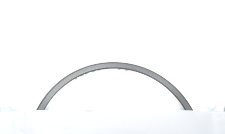 Фото 3 - Кільця поршневі Borsehung B19038