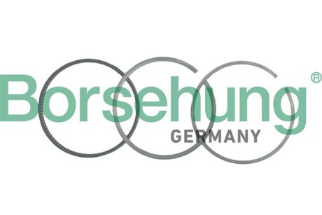 Фото 2 - Кольца поршневые Borsehung B19049