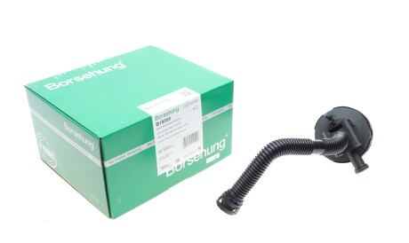 Клапан вентиляции картера Skoda Fabia/Roomster 1.6 06- - ((03C103201K)) Borsehung B19055