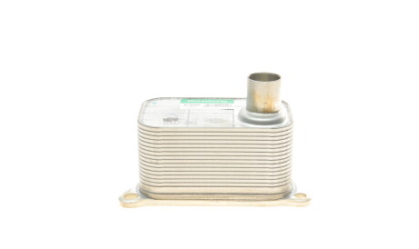 Фото 3 - Масляный радиатор Borsehung B19085