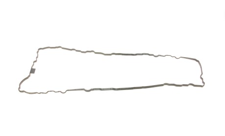 Фото 5 - Прокладки (комплект) Borsehung B19191