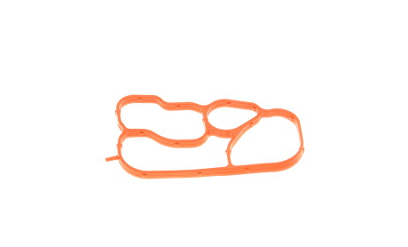 Фото 6 - Прокладки (комплект) Borsehung B19191